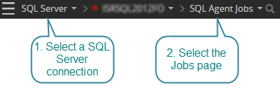 Open the jobs drilldown for a SQL Server connection type