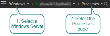 Open the processes drilldown for a Windows Server connection