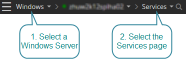 Open the services drilldown for a Windows Server connection